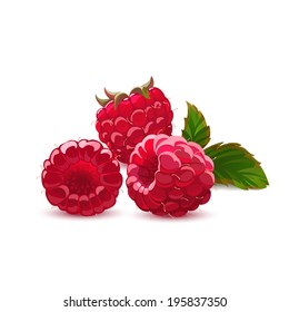 Raspberry isolated on white.