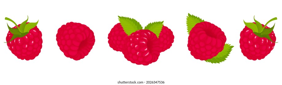 Raspberry, isolated on white bacground. Raspberry vector set, whole and slice of raspberry with green tail and leaf. Flat design