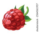 Raspberry isolated on white background. Red raspberry and green leaves. Food icon, drink logo, fruit sticker. Delicious raspberry. Beautiful graphic designs new version. Food menu icon. Realistic.