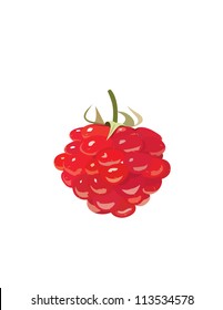Raspberry isolated on white background