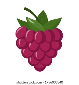 Raspberry isolated on white background. Raspberry flat icon.