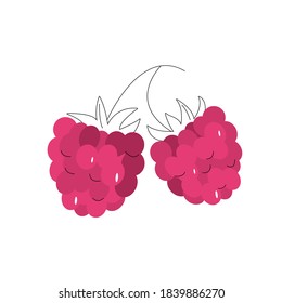 Raspberry isolated on white background. Vector illustration. Icon. Design.