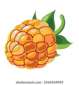 Raspberry isolated on white background. Yellow raspberry and green leaves. Food icon, drink logo, fruit sticker. Delicious raspberry. Beautiful graphic designs. Food menu icon. Realistic. Fresh Berrys