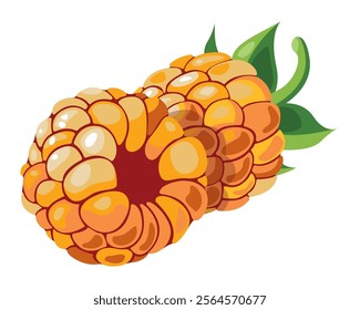 Raspberry isolated on white background. Yellow raspberries with green leaves. Food icon, drink logo, fruit sticker. Delicious raspberries. Beautiful graphic berry composition designs.