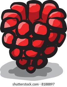 Raspberry isolated on a white background