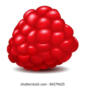 Raspberry isolated over white background, vector illustration