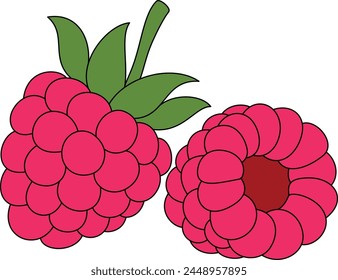 Raspberry Isolated Vector Illustration Hand Drawn for Kids