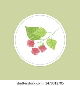 Raspberry  in a jar. Summer jam. Sweet snack. Picnic. Branch with berries.