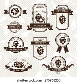 Raspberry labels. Fruits badges and stickers collection. Monochrome variant.