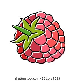 raspberry leaf berry color icon vector. raspberry leaf berry sign. isolated symbol illustration