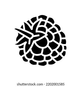 vectores de icono de frambuesa de bizcocho de frambuesa. signo de moras de frambuesa. ilustración de símbolo aislado