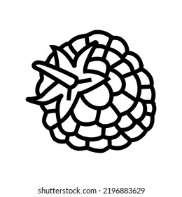 raspberry leaf berry line icon vector. raspberry leaf berry sign. isolated contour symbol black illustration