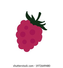 raspberry with leaf in cartoon style. Fresh berry, healthy and vegan food. Hand drawn vector illustration isolated on white background.