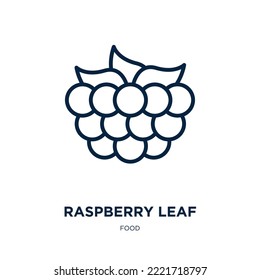 raspberry leaf icon from food collection. Thin linear raspberry leaf, raspberry, natural outline icon isolated on white background. Line vector raspberry leaf sign, symbol for web and mobile