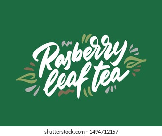 Raspberry leaf tea hand drawn illustration. Template for card banner and poster for restaurant menu and package. Vector illustration