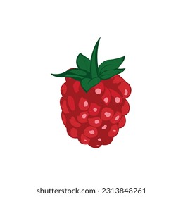 Raspberry with leaf vector icon. Raspberry icon clipart. Raspberry cartoon.