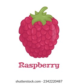 Frambuesa con icono vector hoja. Icono de frambuesa clipart. Caricatura de frambuesa