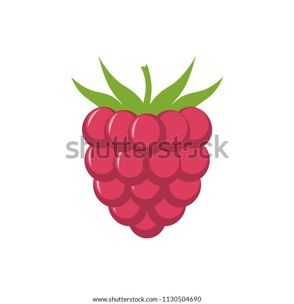 Raspberry Leaf Vector Icon Raspberry Icon Stock Vector (Royalty Free ...