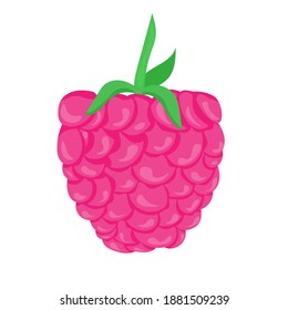 Raspberry with leaf, vector illustration isolated on white background.