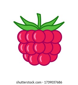 Raspberry with leafs on white background. Berry icon on flat style. Vector Illustration.