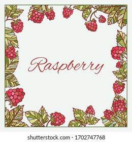 Raspberry leaves colorful frame graphics vector