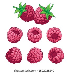 Raspberry with leaves isolated on white background. Berry branch raspberries. Hand drawn vector illustration.