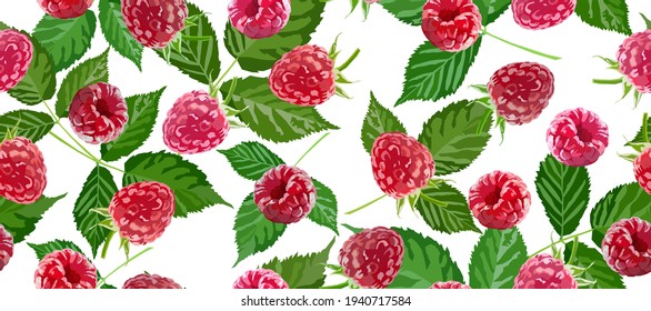 Raspberry with leaves vector long seamless pattern