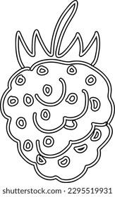 Raspberry line drawing for decoration.