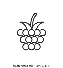 Raspberry line icon. High quality black vector illustration.