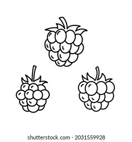 Raspberry line icon. Simple outline style. Berry, pictogram, ripe, pink, sweet, delicious, food, nature, vegetarian concept. Vector design illustration isolated on white background. EPS 10