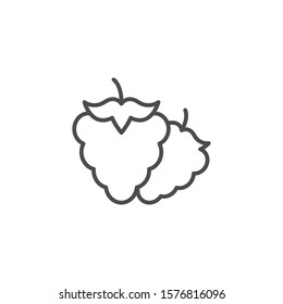 Raspberry line outline icon fruit concept