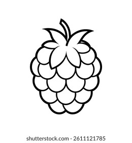 raspberry line vector icon on white background
