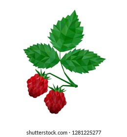 Raspberry  in low poly triangular style vector illustration