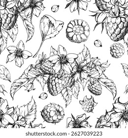 Framboesa amora botões de flores, folhas, amora o grupo de bagas de jardim de floresta madura, mão desenhada em tinta vetorial. Padrão sem emenda isolado. Cardápio de sobremesa, supermercado de agricultores, embalagem de loiça de alimentos