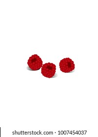 Raspberry on white background
