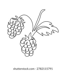 Raspberry one line drawing. Abstract outline fresh raspberries for fruit print, sweet berries fruitage icon, organic farm market concept. Modern vector illustration.
