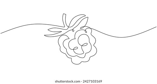 Raspberry one line drawing. Continuous outline of Raspberry fruit. Vector illustration healthy food concept.