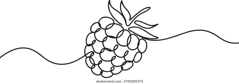 Raspberry one line drawing. Continuous outline of Raspberry fruit, one line Art icon drawing

