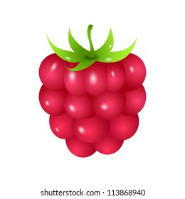 Raspberry. One ripe berry isolated on white