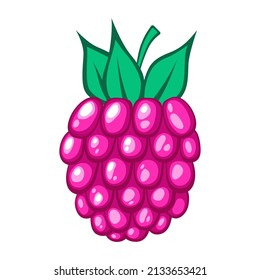 Raspberry. Organic berry isolated on white background. Healthy lifestyle. Vector illustration in flat style.