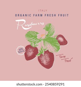 Raspberry organic fruits, natural fresh , From Italy to Paris , girls graphic tee print design, women's vector graphics design, food fashion trendy graphics for t-shirt design