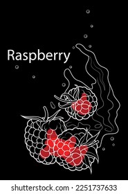 Raspberry. Outline drawing with an inscription. Drawing on a dark background with colored elements. Berry with splashes.