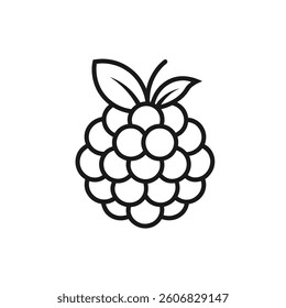 Raspberry outline icon on white background