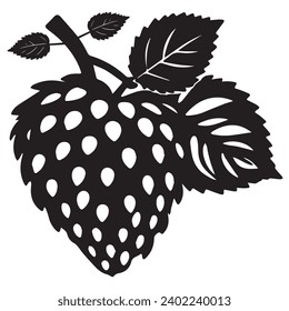 Raspberry outlines and symbols. Dark level variety basic exquisite white foundation Raspberry vegetable vector and silhouette icon.