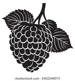 Raspberry outlines and symbols. Dark level variety basic exquisite white foundation Raspberry vegetable vector and silhouette icon.