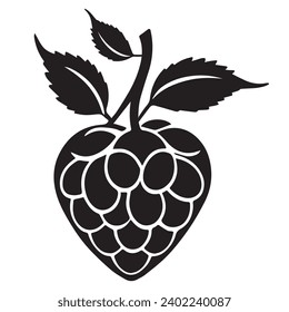 Raspberry outlines and symbols. Dark level variety basic exquisite white foundation Raspberry vegetable vector and silhouette icon.