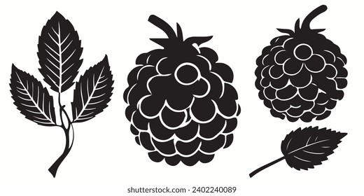 Raspberry outlines and symbols. Dark level variety basic exquisite white foundation Raspberry vegetable vector and silhouette icon.