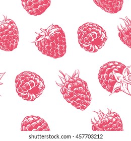 Raspberry pattern including seamless on white background. Hand drawn fruit vector. Berry with clipping path.