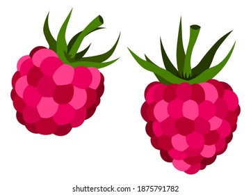 Raspberry pink berry flat  vector colorful isolated illustration