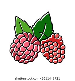 raspberry plant leaf fresh color icon vector. raspberry plant leaf fresh sign. isolated symbol illustration